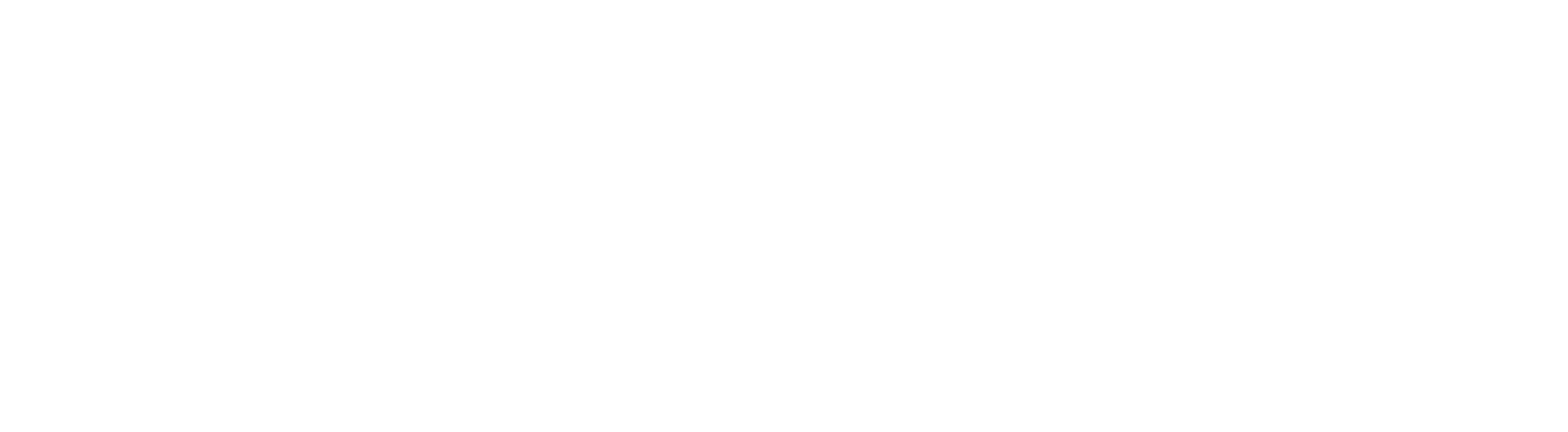 FritzFit